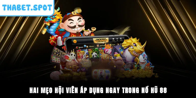 Hai mẹo hội viên áp dụng ngay trong nổ hũ 88