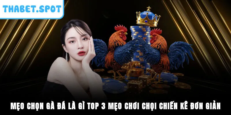 Mẹo Chọn Gà Đá Là Gì? Top 3 Mẹo Chơi Chọi Chiến Kê Đơn Giản
